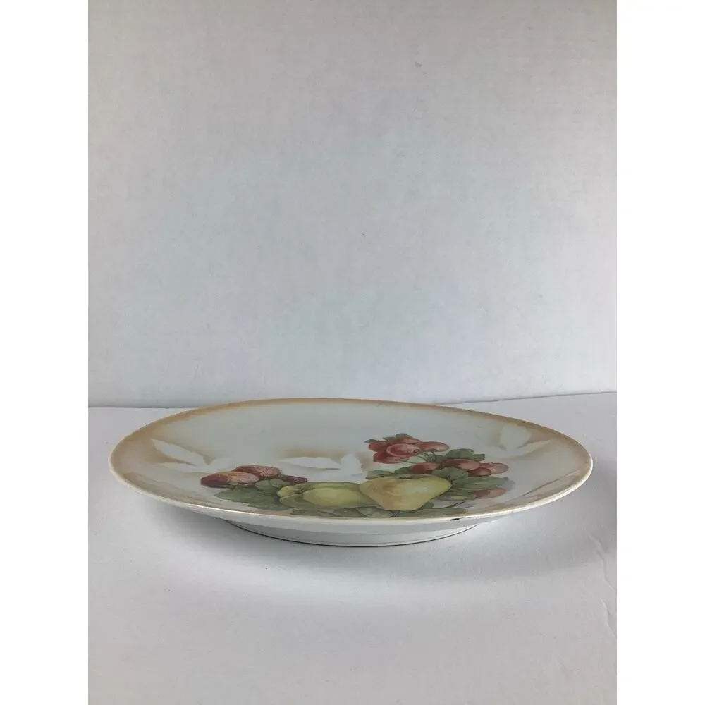 Antique VTG Hand Painted Fruit Bavaria Fruit Plate 8.5”